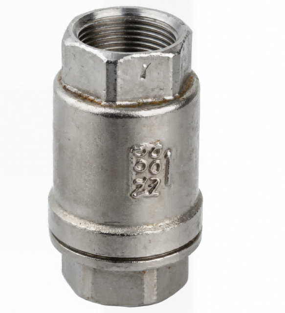 Pengecoran Katup Periksa H12